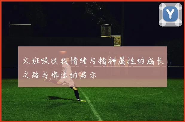 文班吸收我情绪与精神属性的成长之路与佛法的启示