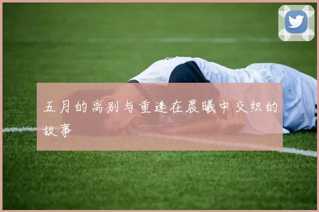 五月的离别与重逢在晨曦中交织的故事
